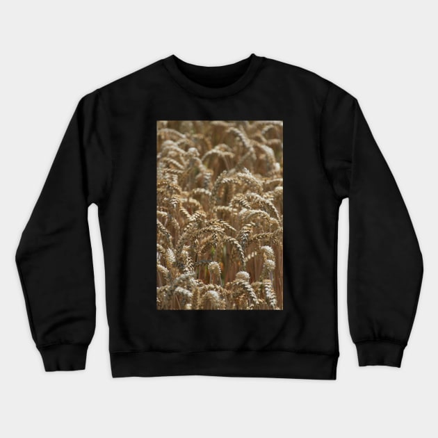 Wheat (portrait) Crewneck Sweatshirt by jomaot